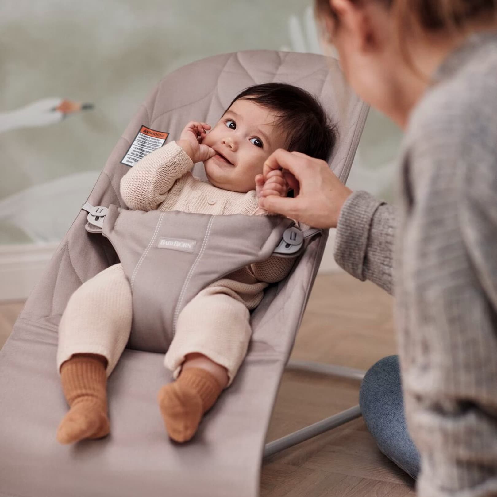 Baby Bjorn Bouncer - 2