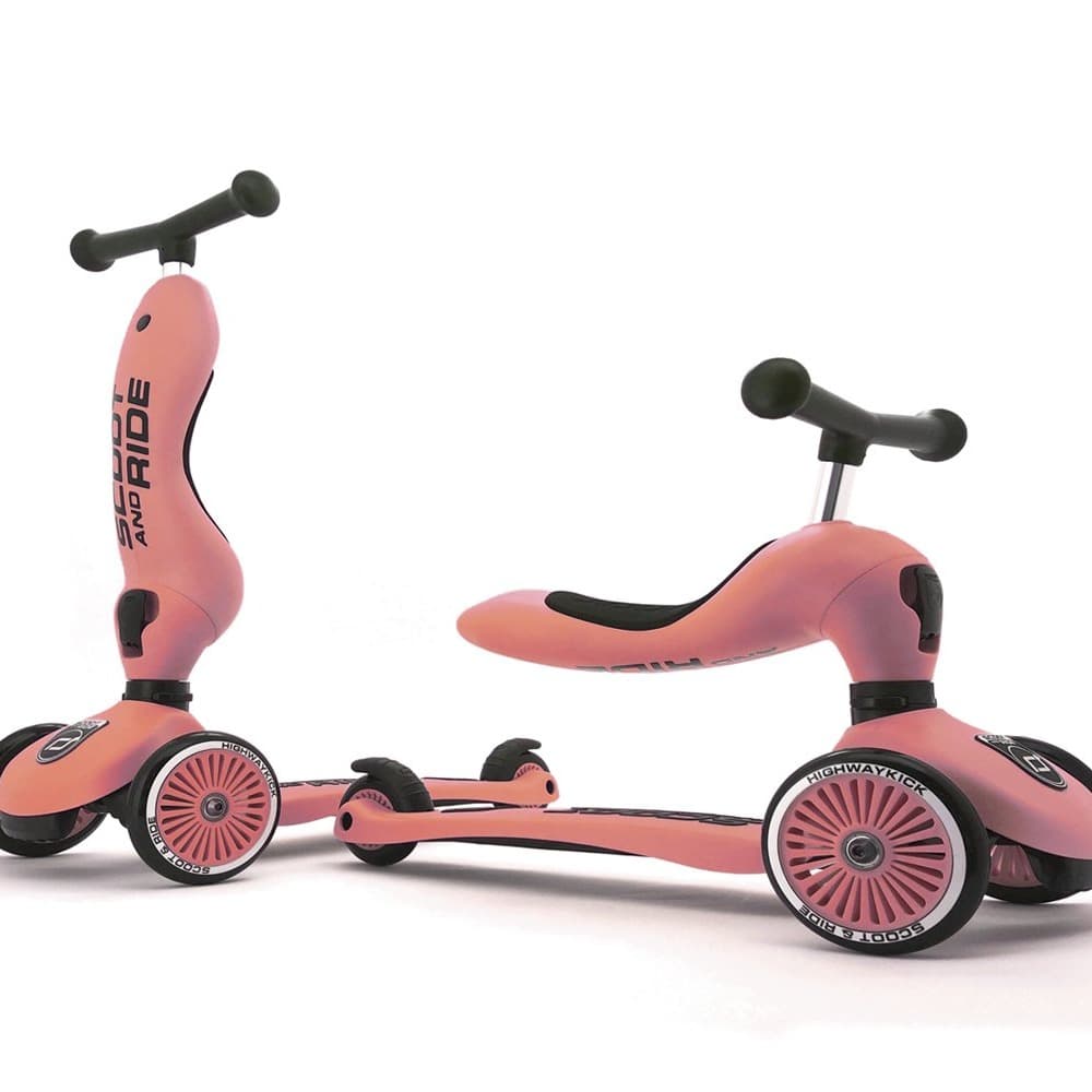 2-in-1 Scooter Scoot & Ride