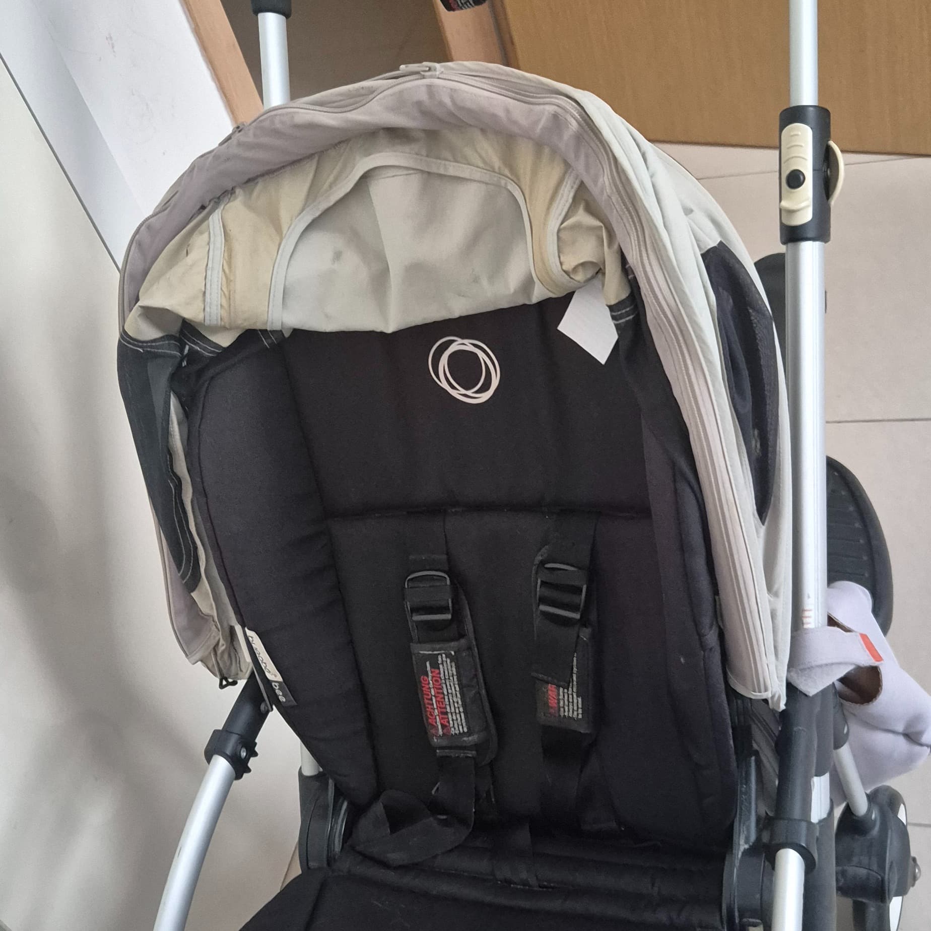 Ape Bugaboo - 2