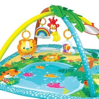 Baby Activity Gym