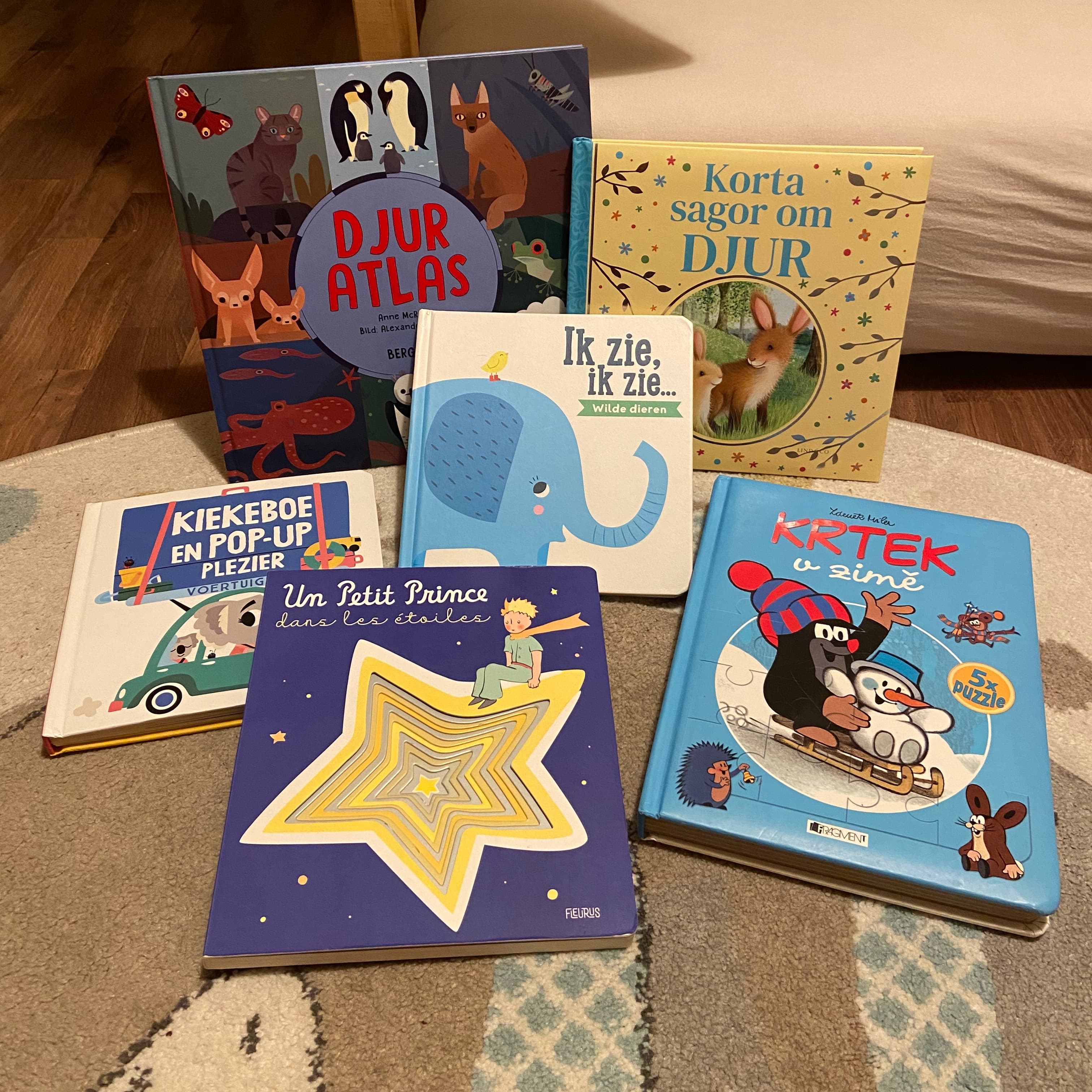 Books in various languages (ENG, NL, SWE, CZ, F)