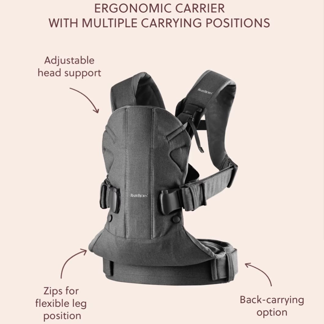Baby Carrier One