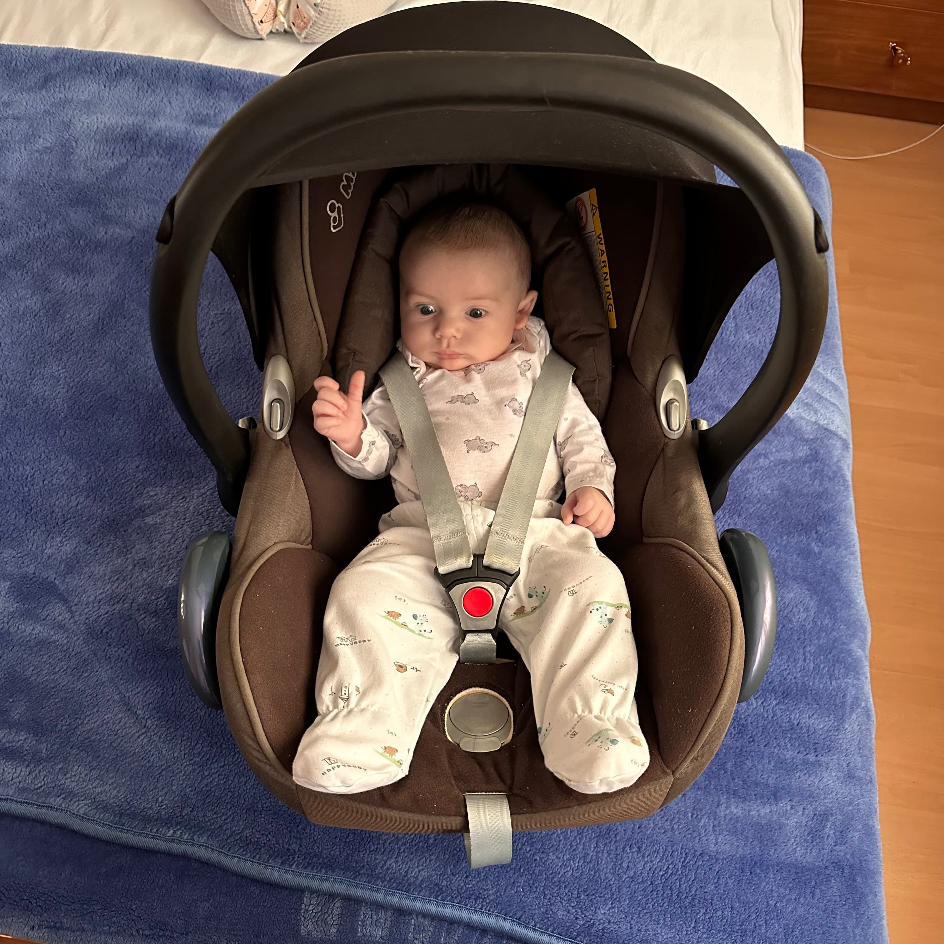 Stoller, Isofix Car Seat