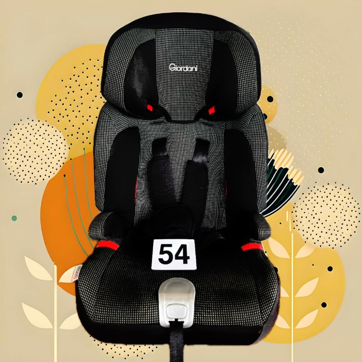 Asiento de coche N54 (9-36 kg)