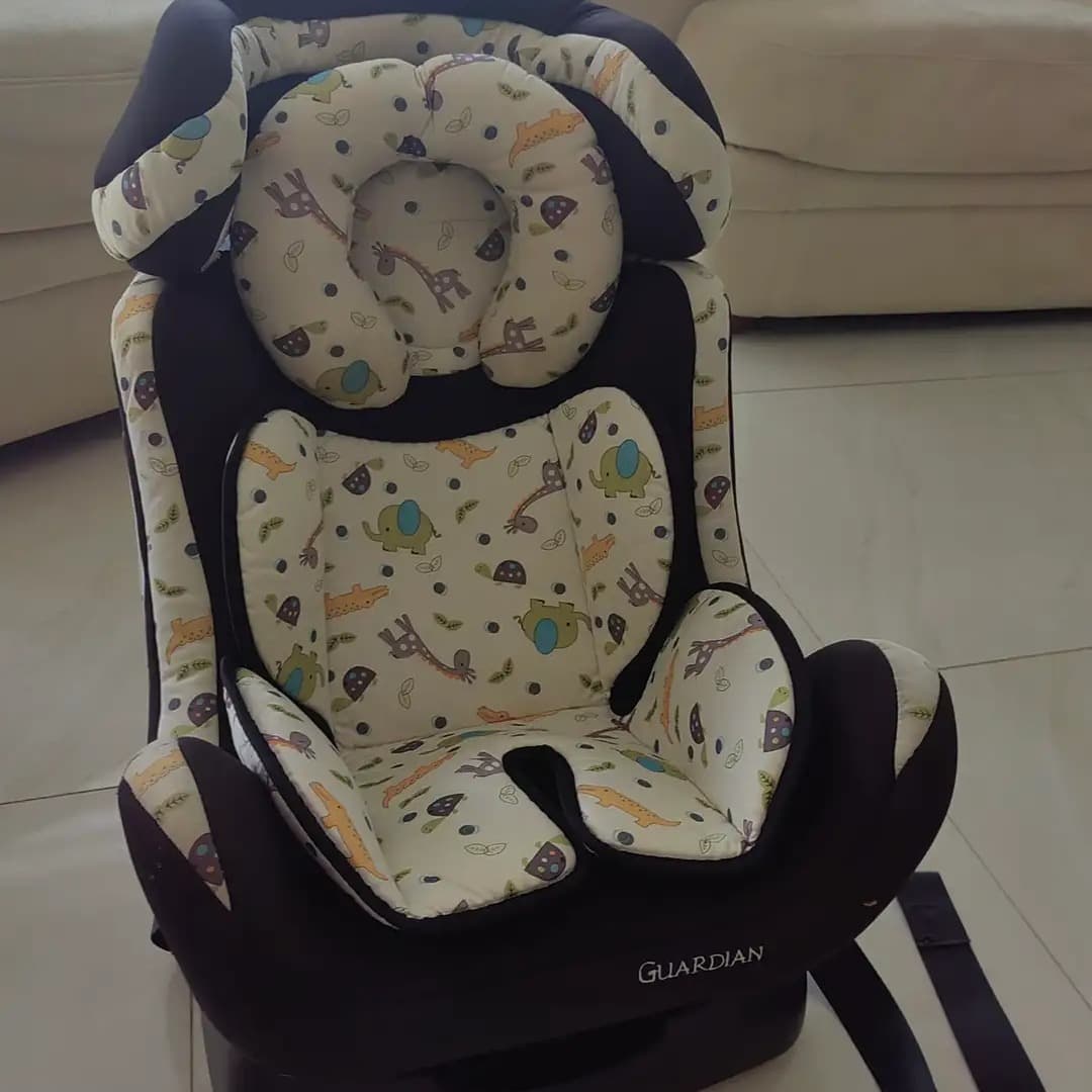 Guardian Grey, 0-25kg - 3