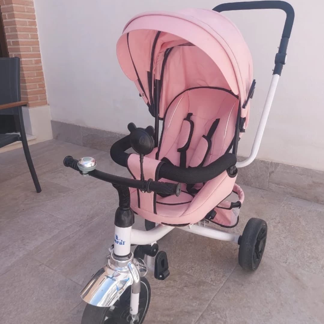 Triciclo evolutivo  - 2