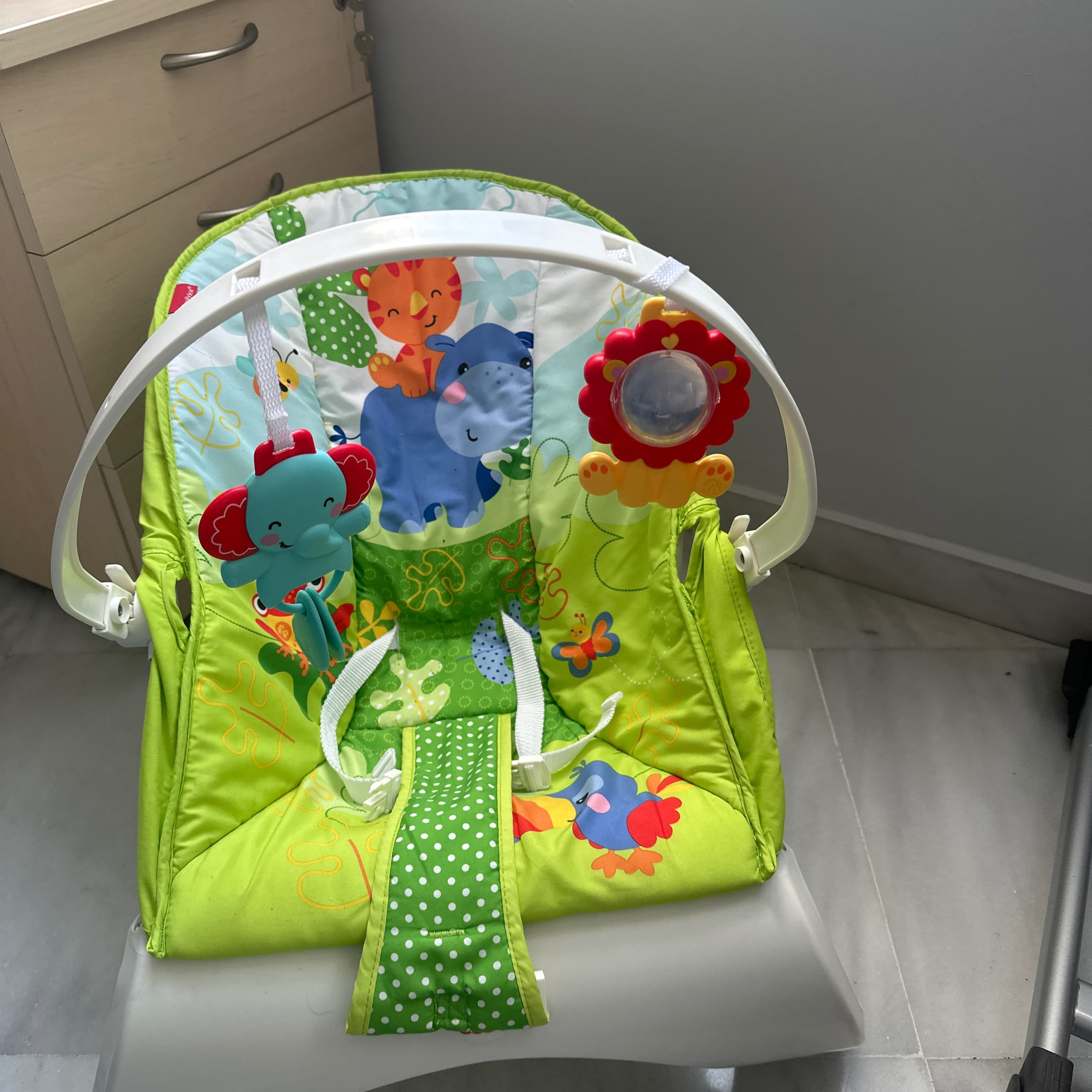 Fisher price bouncer seat