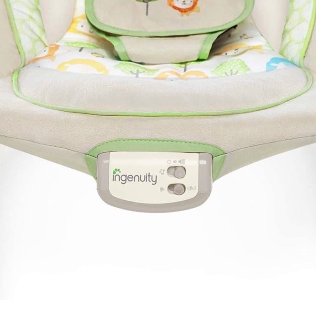 Ingenuity baby hammock