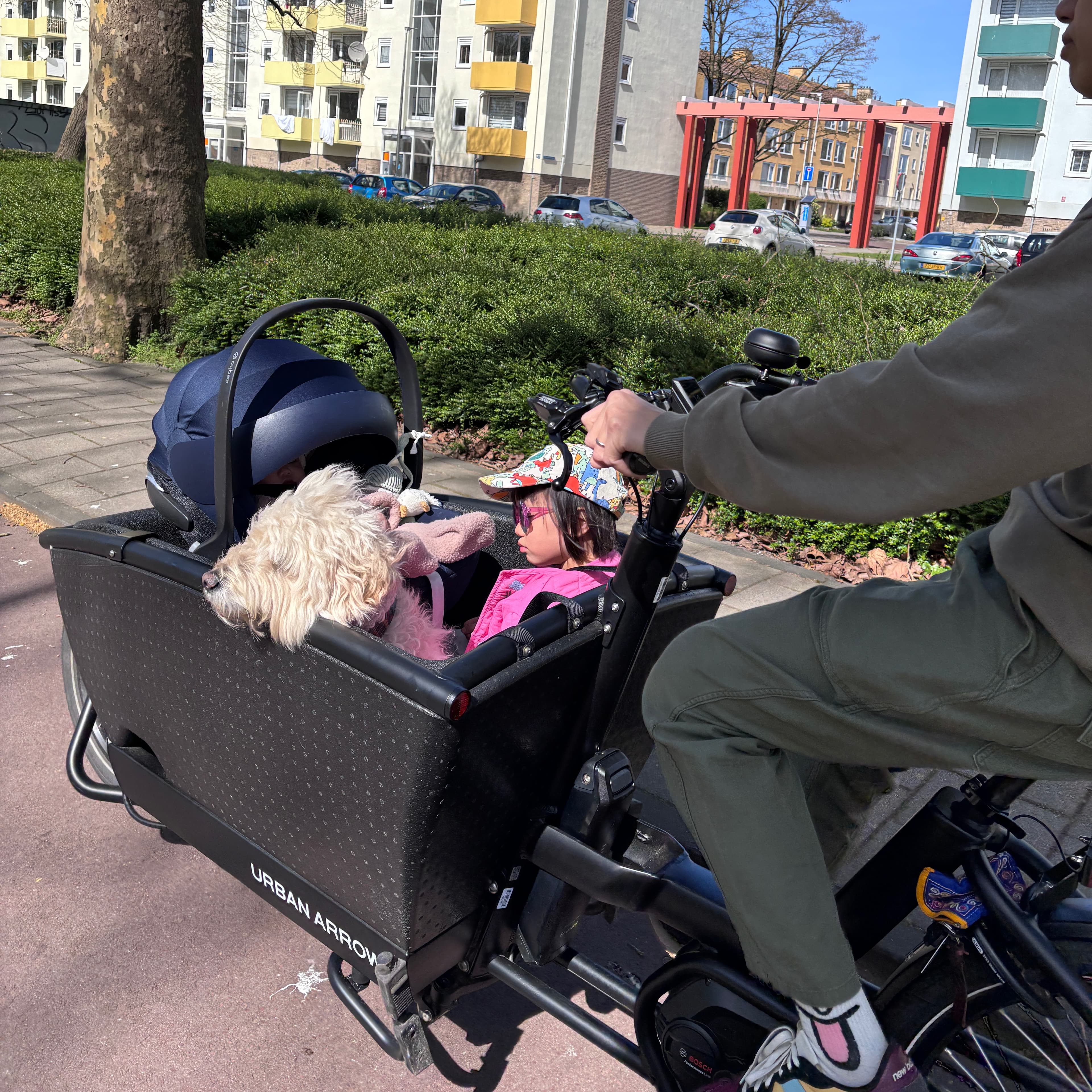 Performance plus automatiq della famiglia Urban Arrow - 3