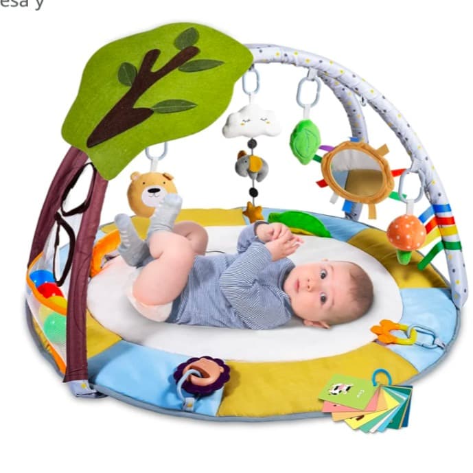 Baby Gym / Play Mat