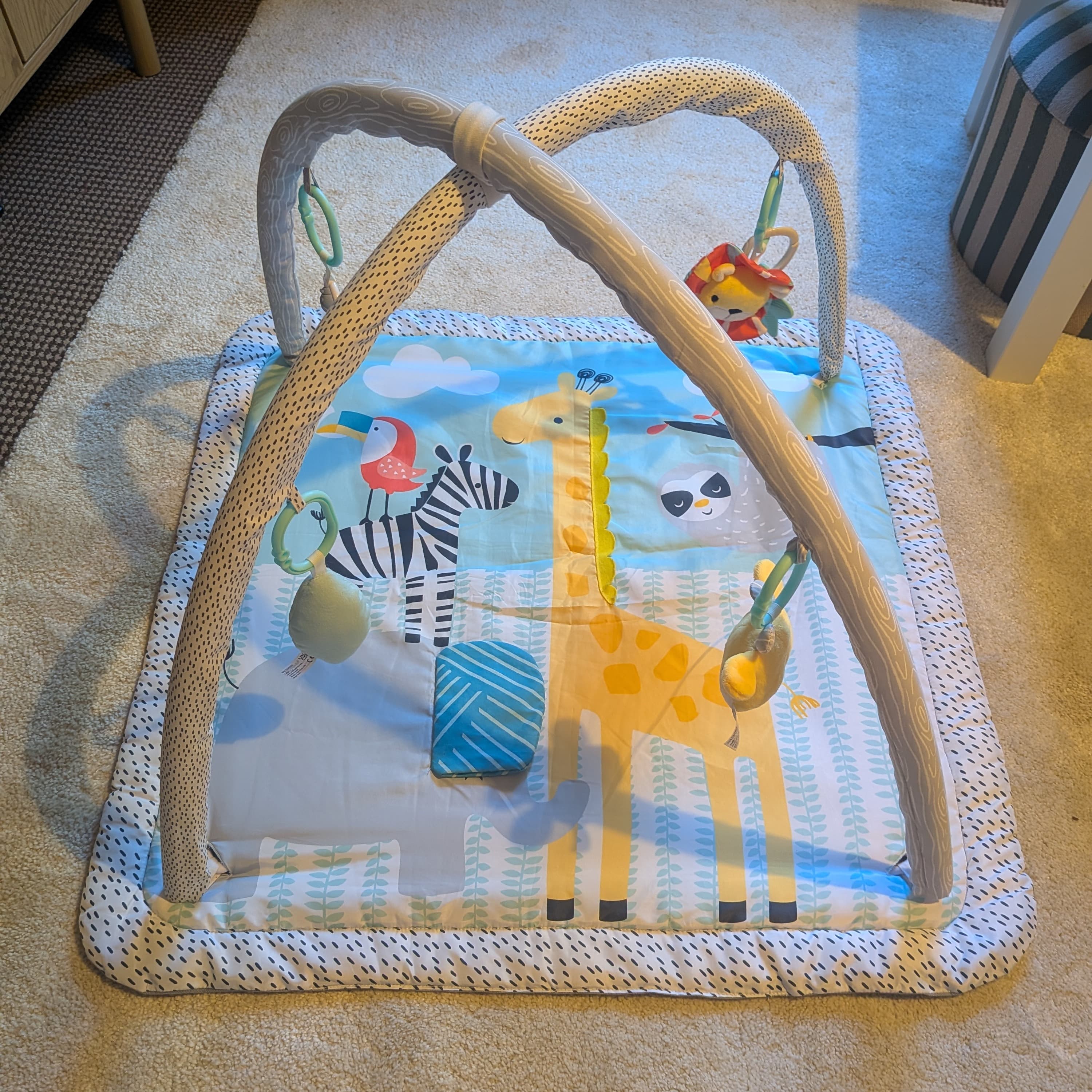Baby Play Mat  - 2