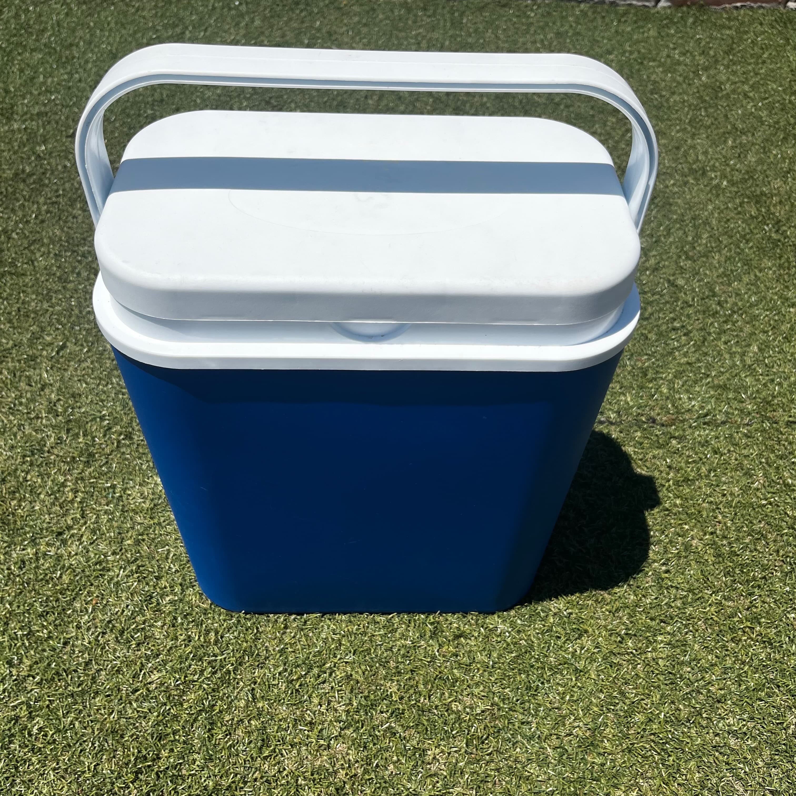 Sea Cooler Bag