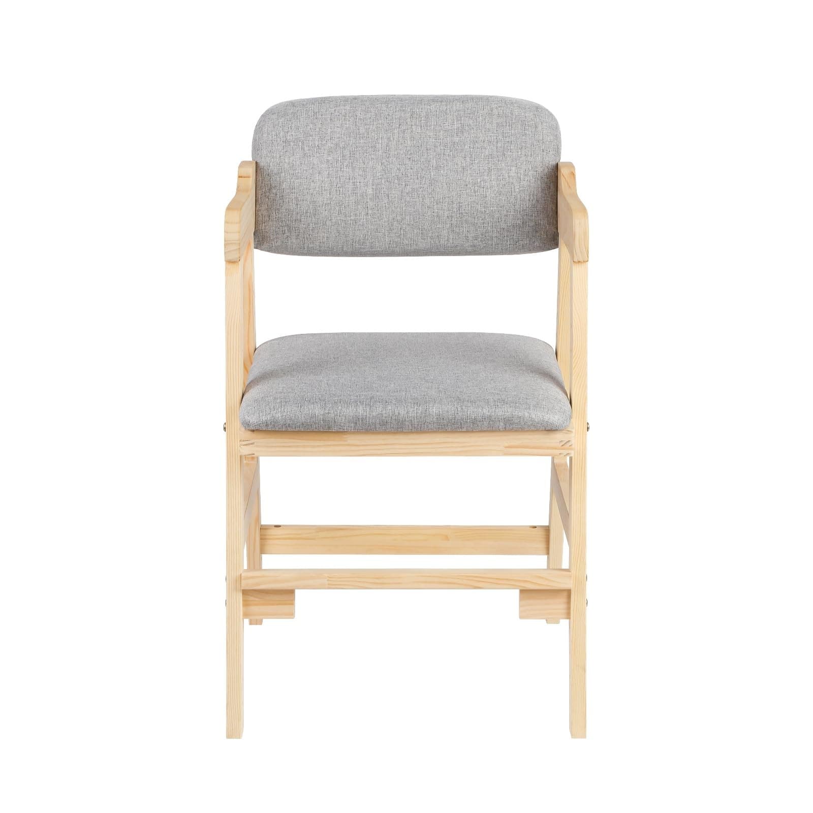Junior evolutionary chair 