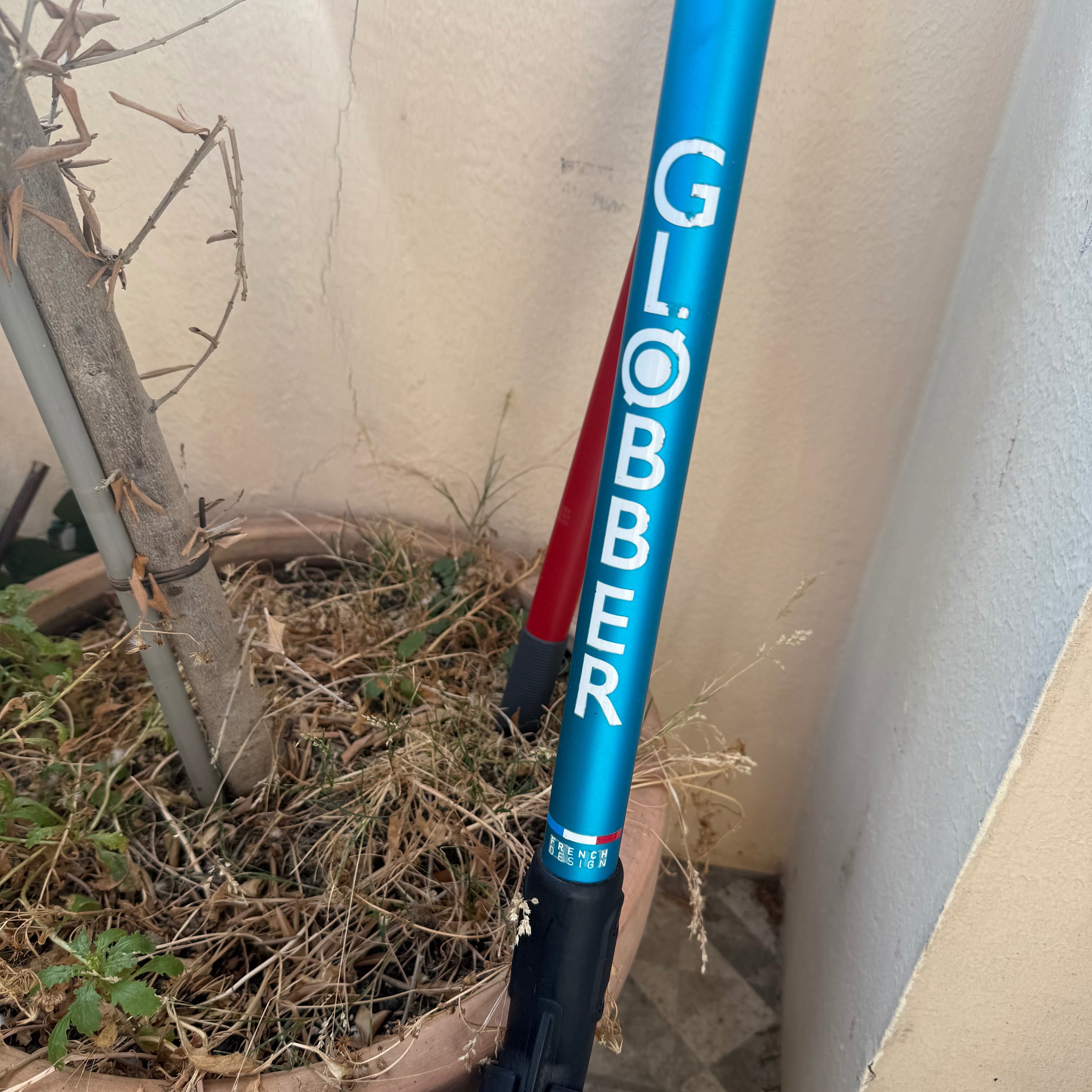 Monopattino Globber 3 in 1 - 2