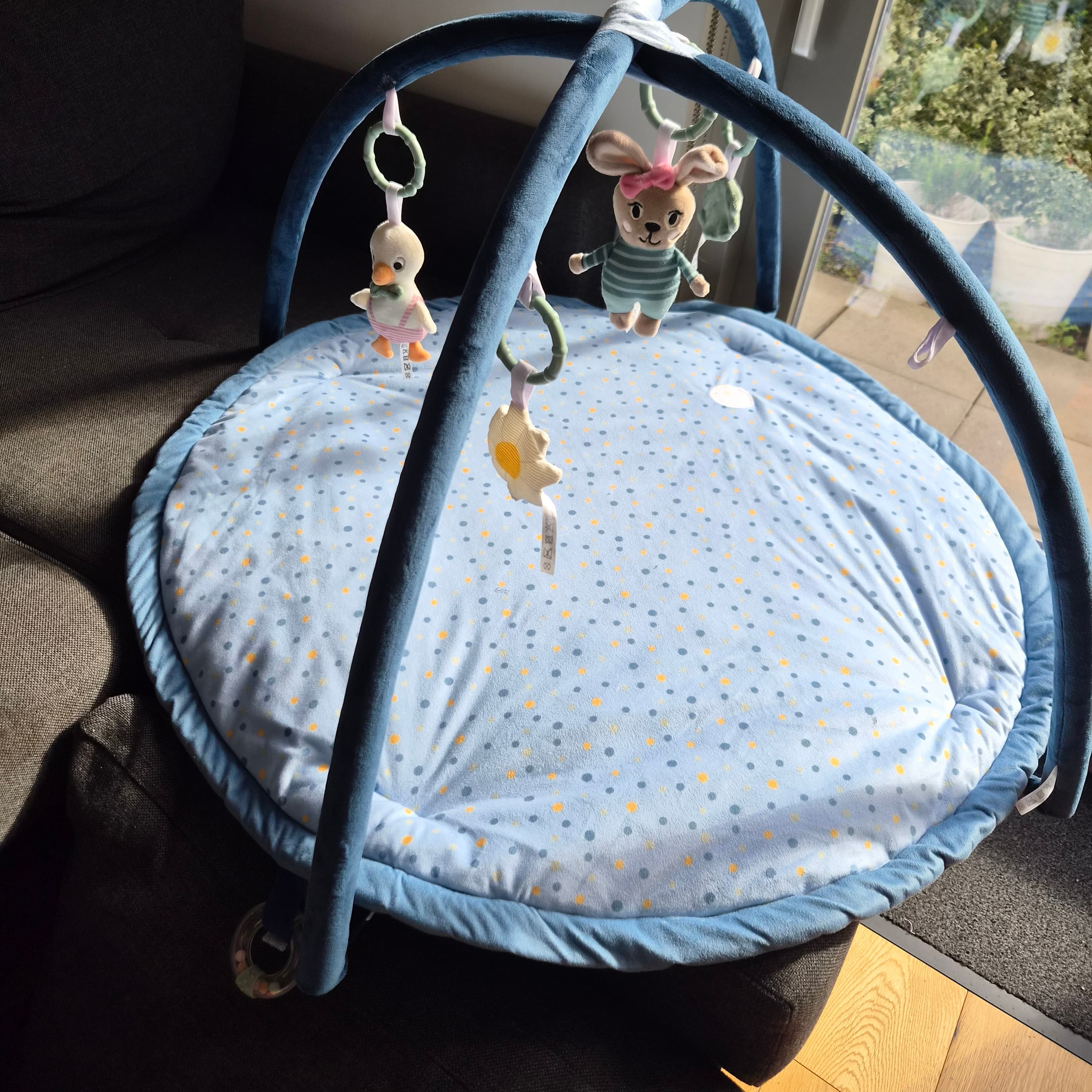 Baby Activity Gym