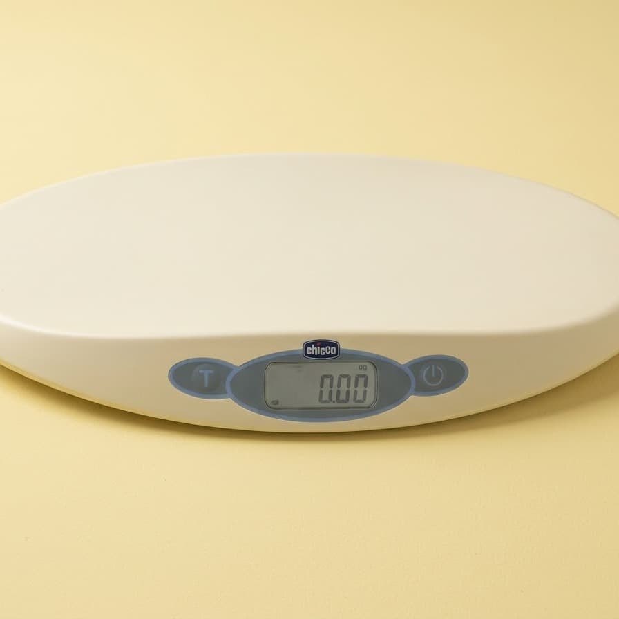 Electronic scale 