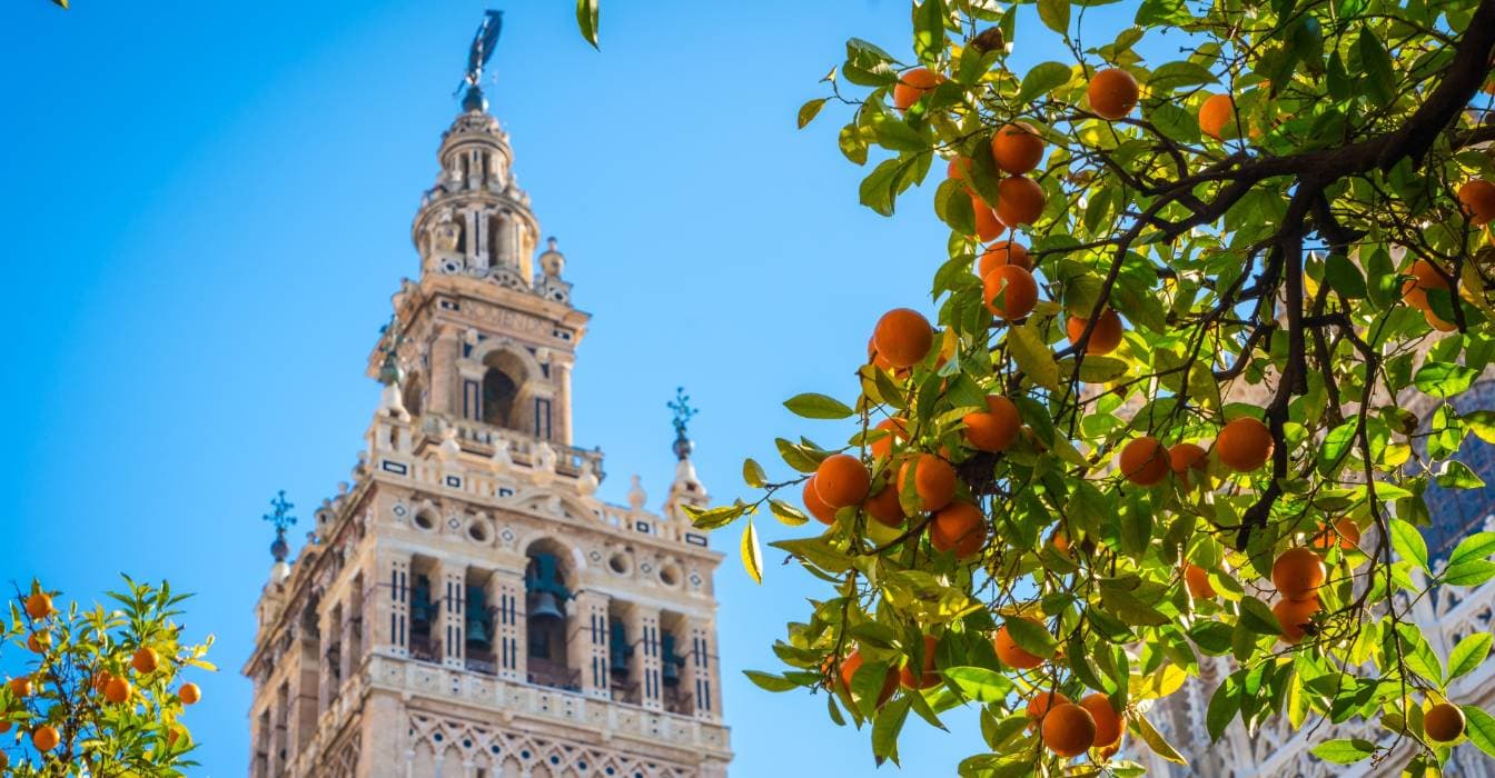 Must See in Seville with Toddlers: A Family Guide