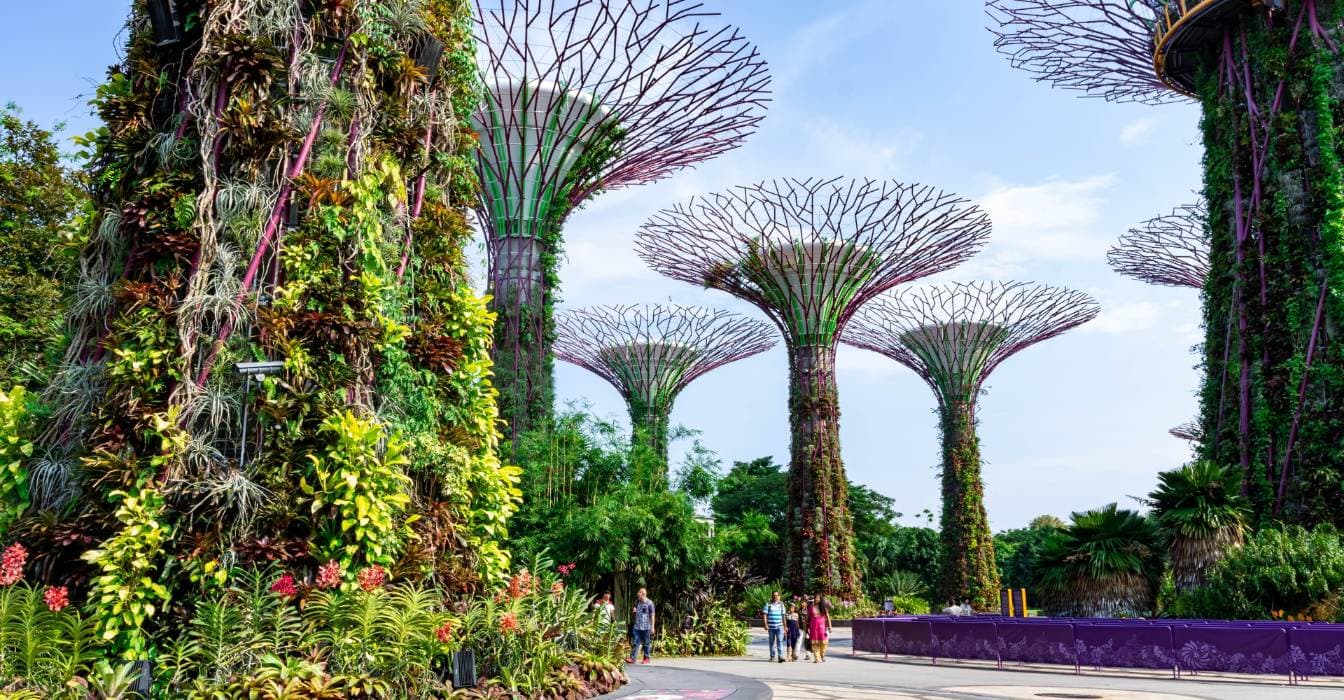 Singapore with Kids: Activities, Where to Stay, Tips & Tricks