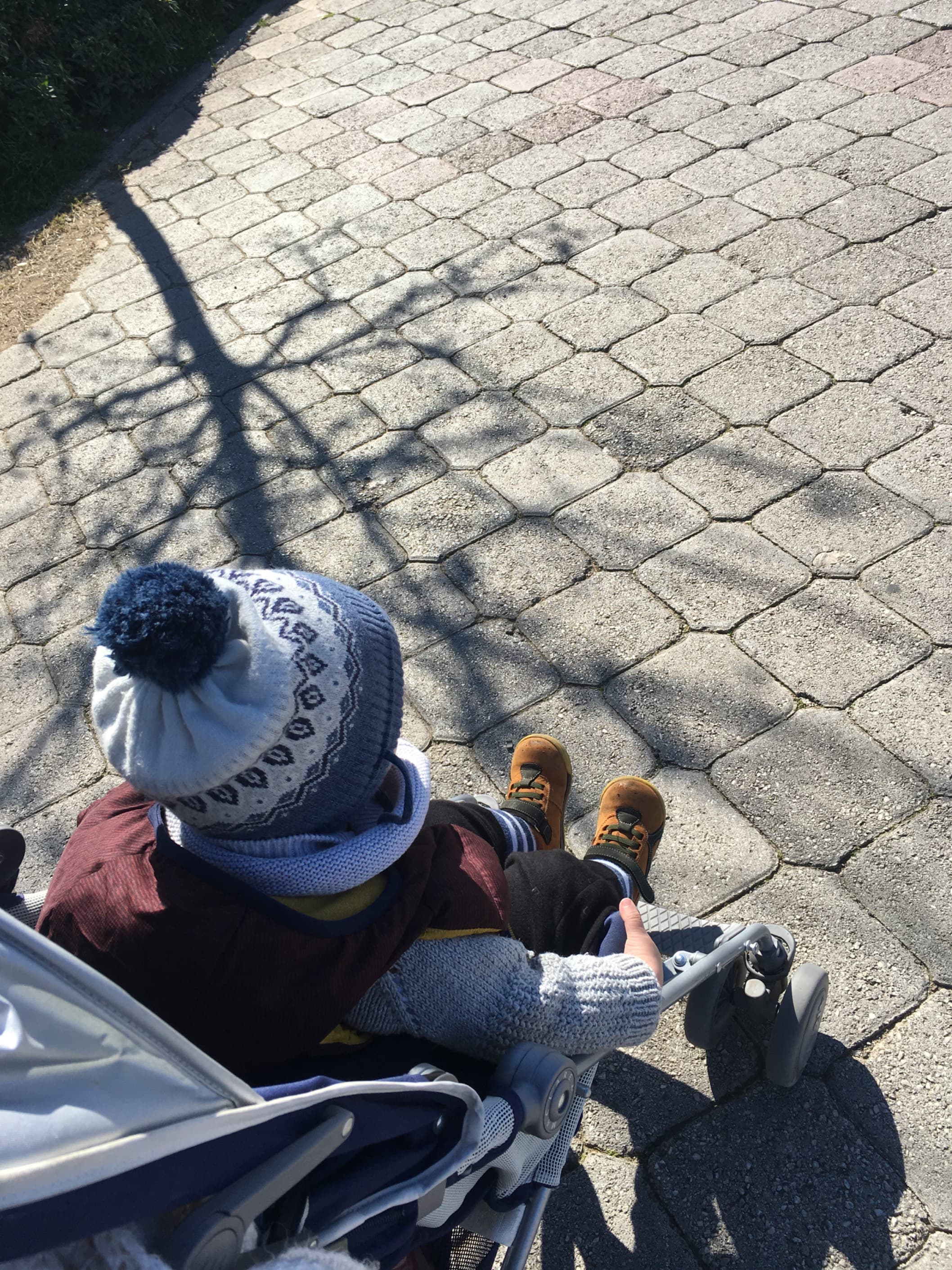 Zahit B.