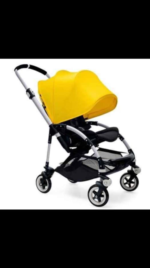 Bugaboo bee