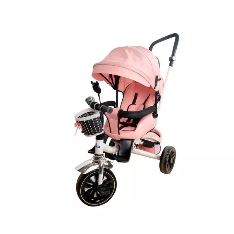 Evolutionary tricycle