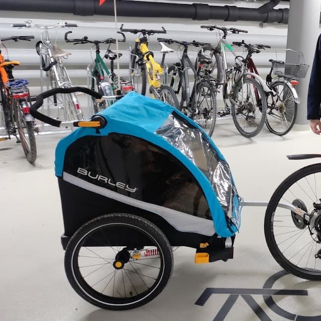 Passeggino Burley D'Lite X Double - Rimorchio per bici - 7