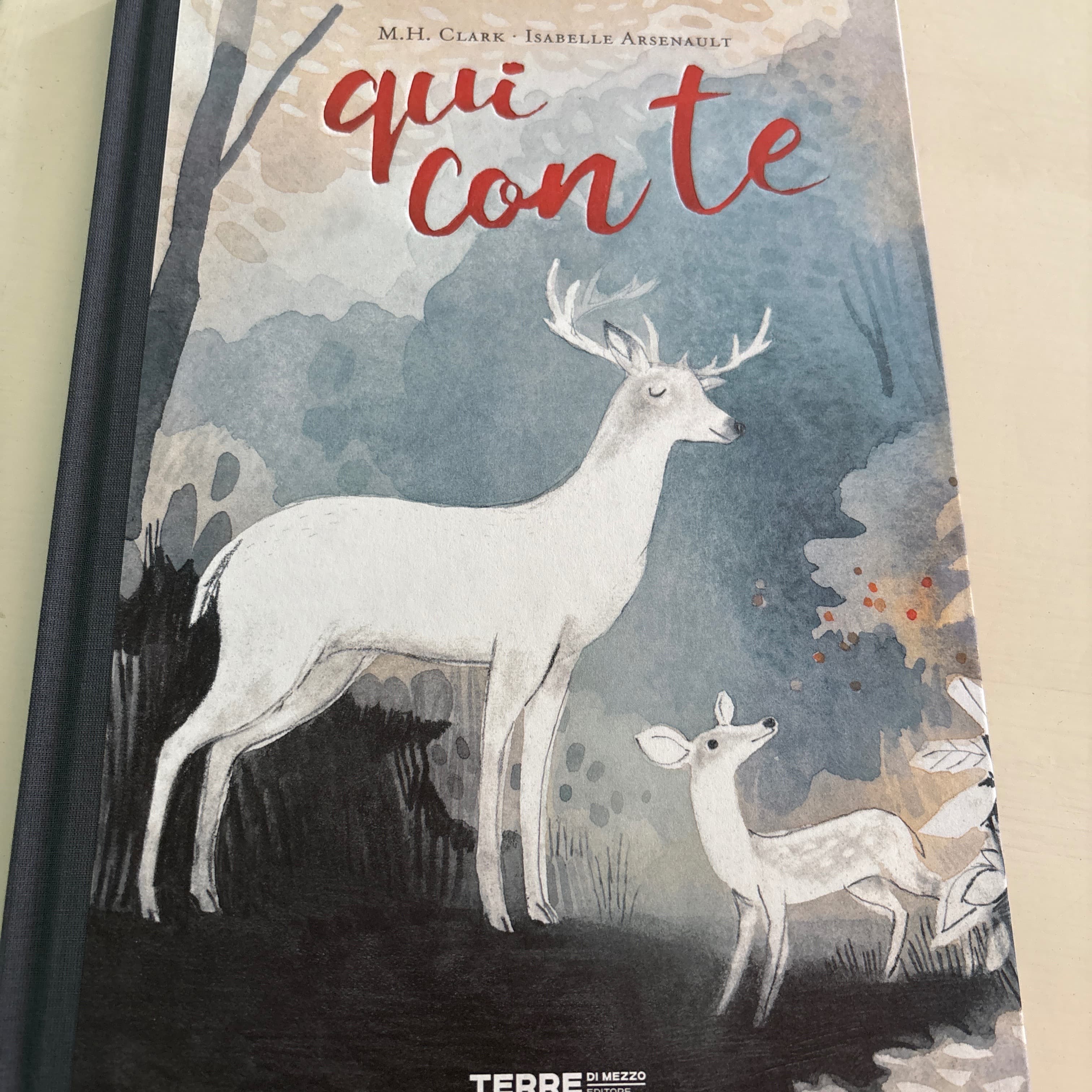 Albi illustrati - 4