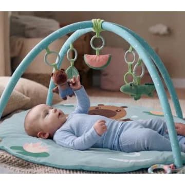 Baby Gym with Hanging toys