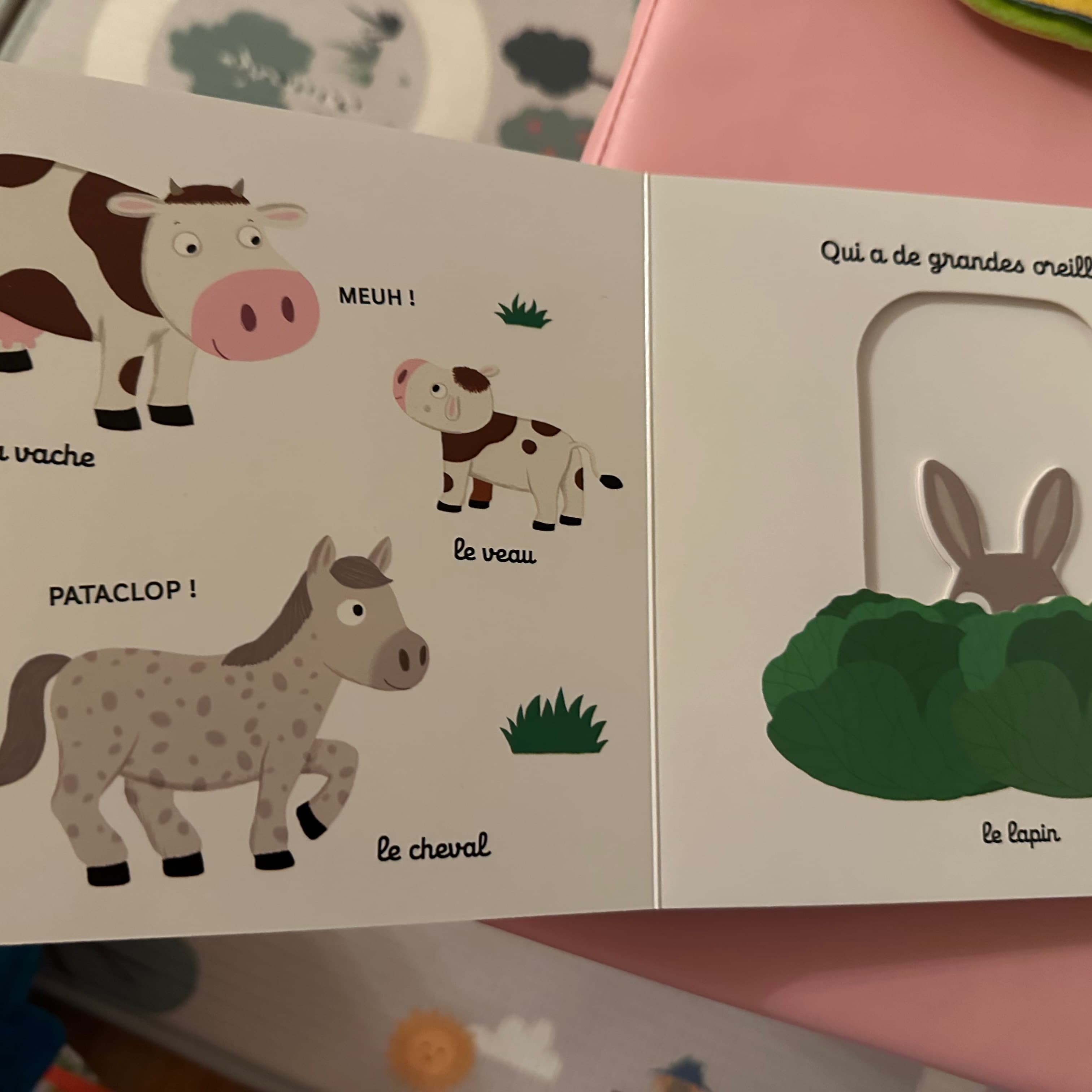 Set di 7 libri - 9
