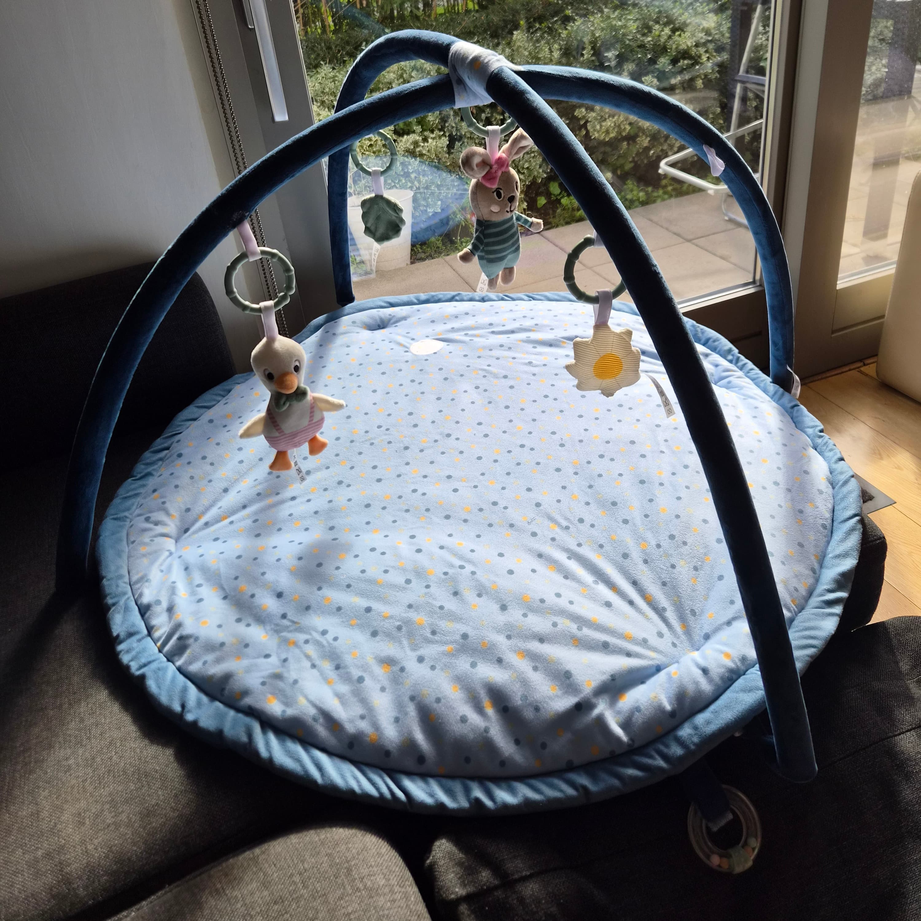 Palestra per attività per bambini - 2