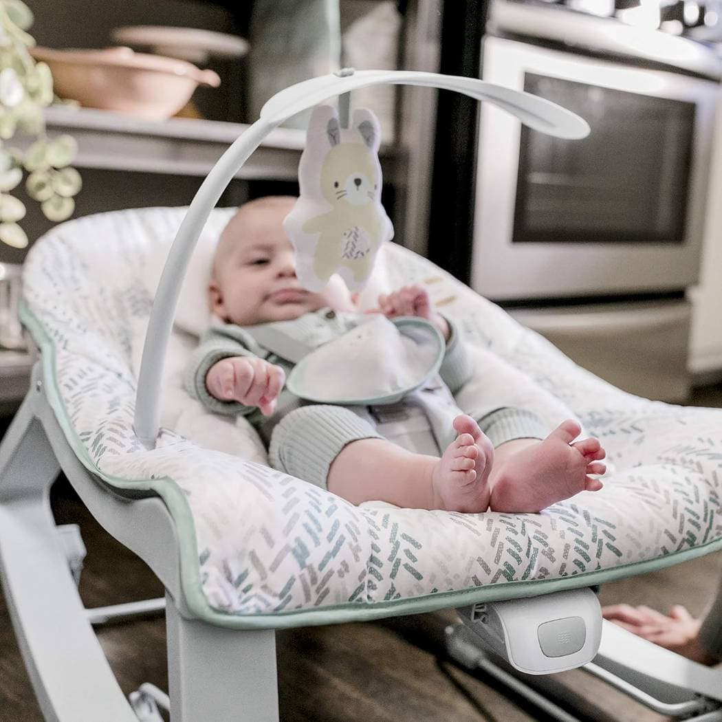 Bouncer & Rocker Infant to Toddler Seat - 3
