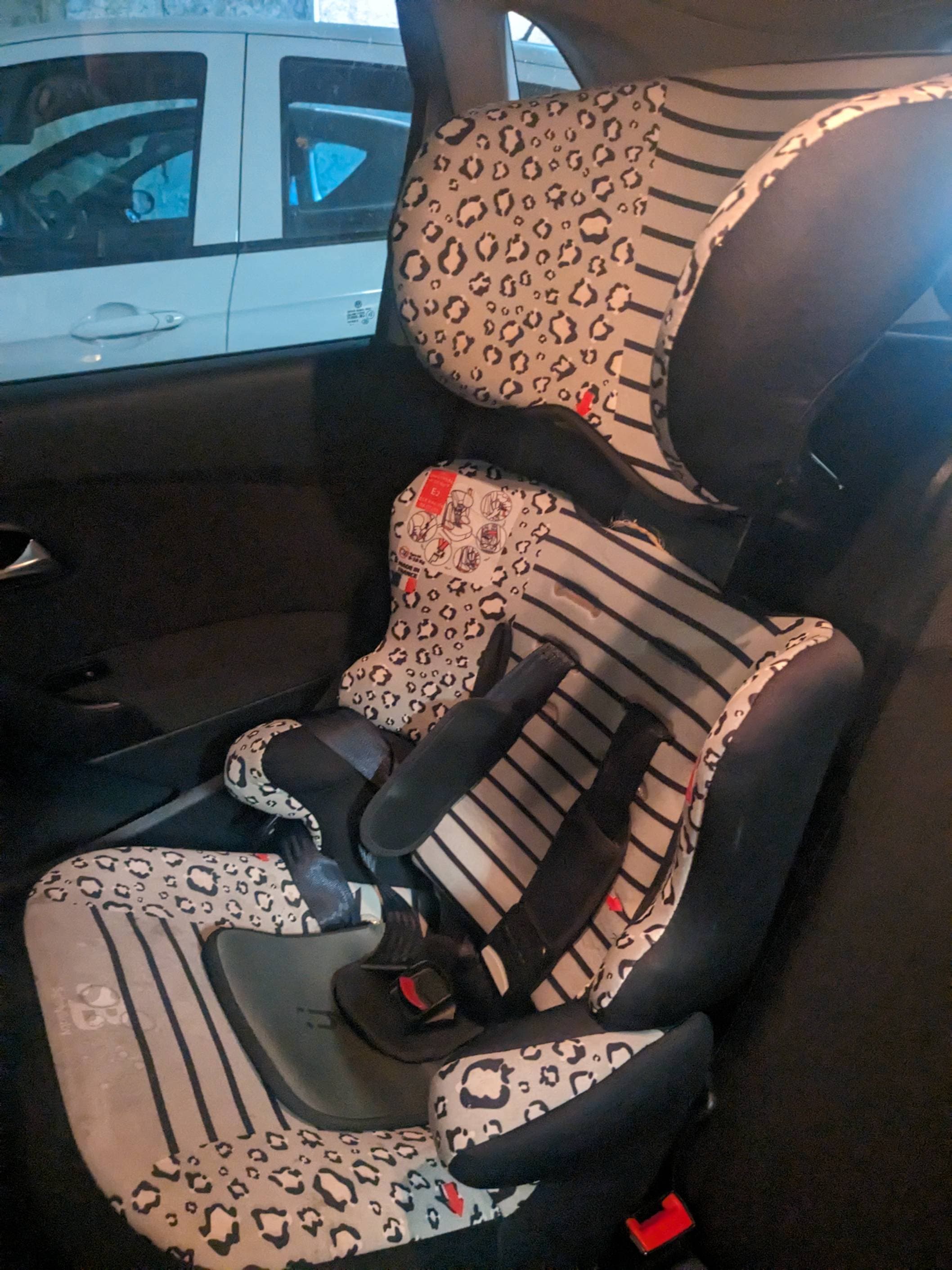 Car Seat (9-36 kg) - 2