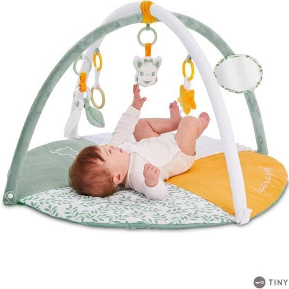 Baby gym