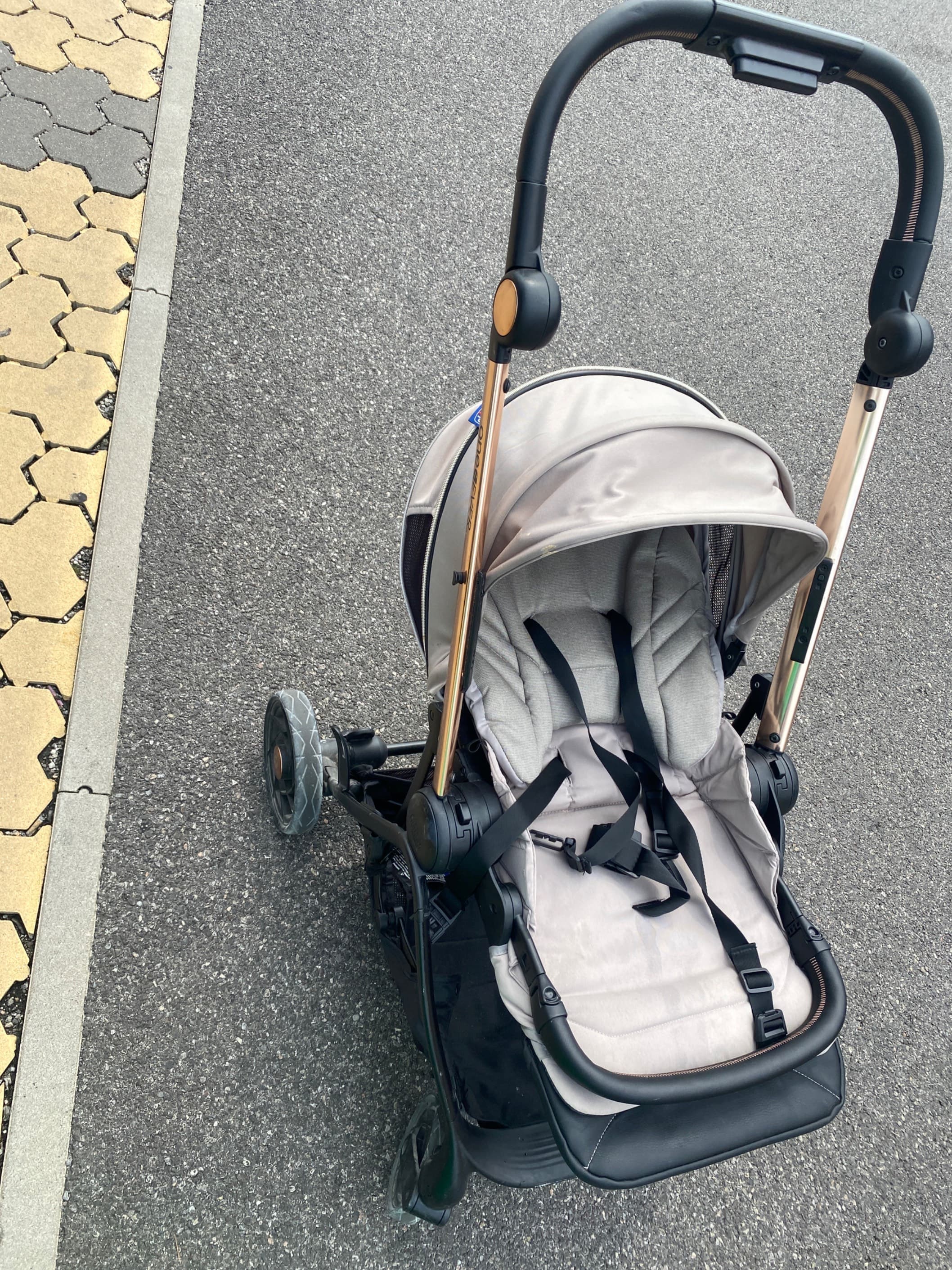 Passeggino chicco