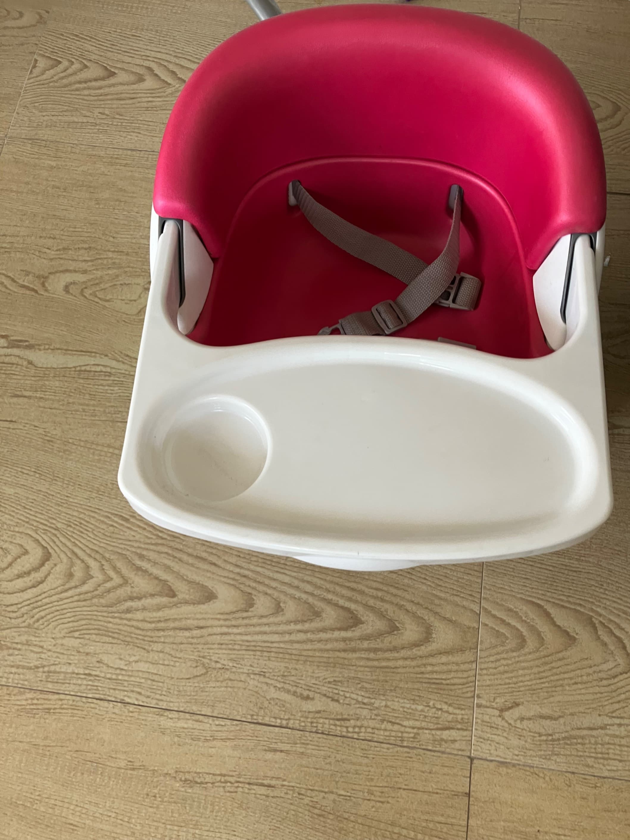 Booster/Feeding Tray - 2