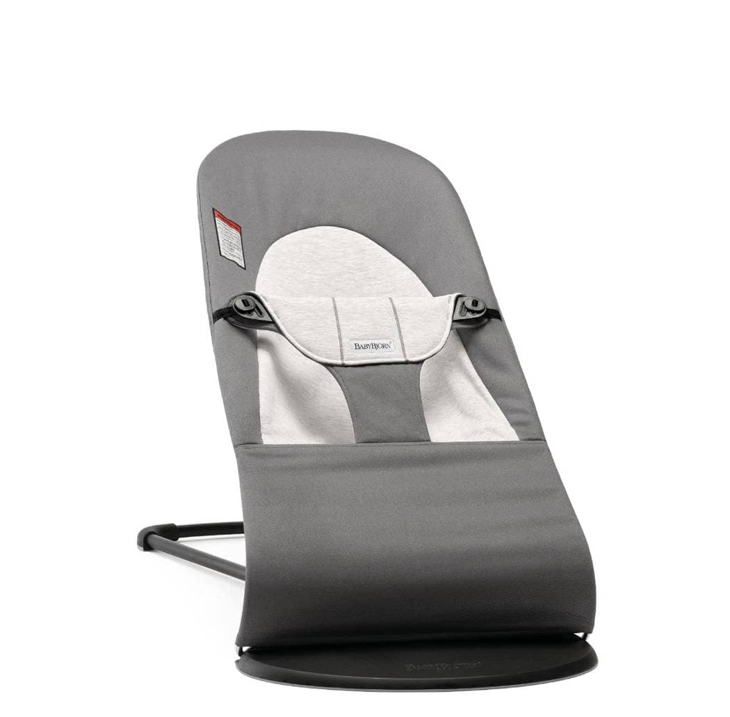 BabyBjörn bouncer