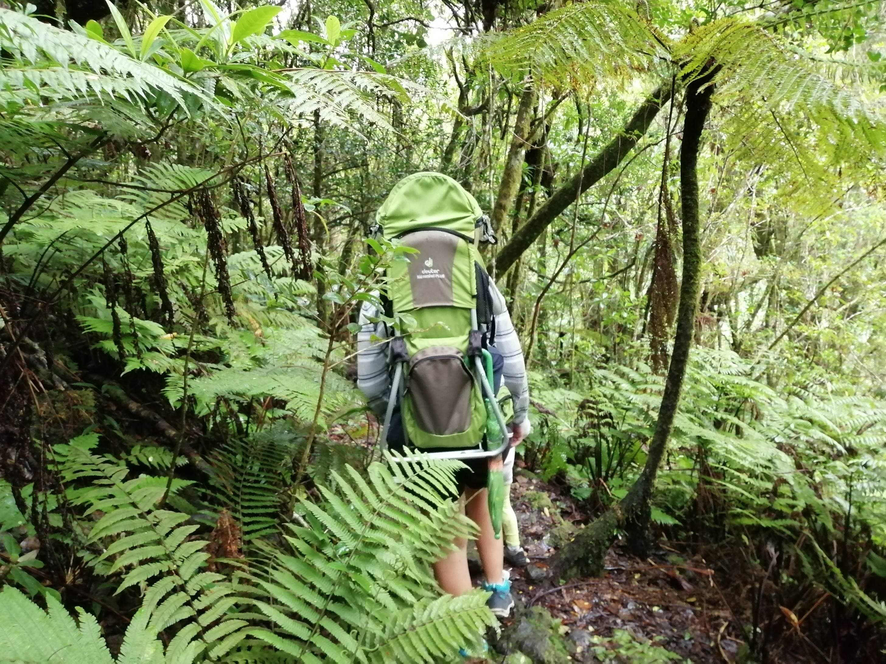 Location Réunion : Porte bébé randonnée Deuter - 2
