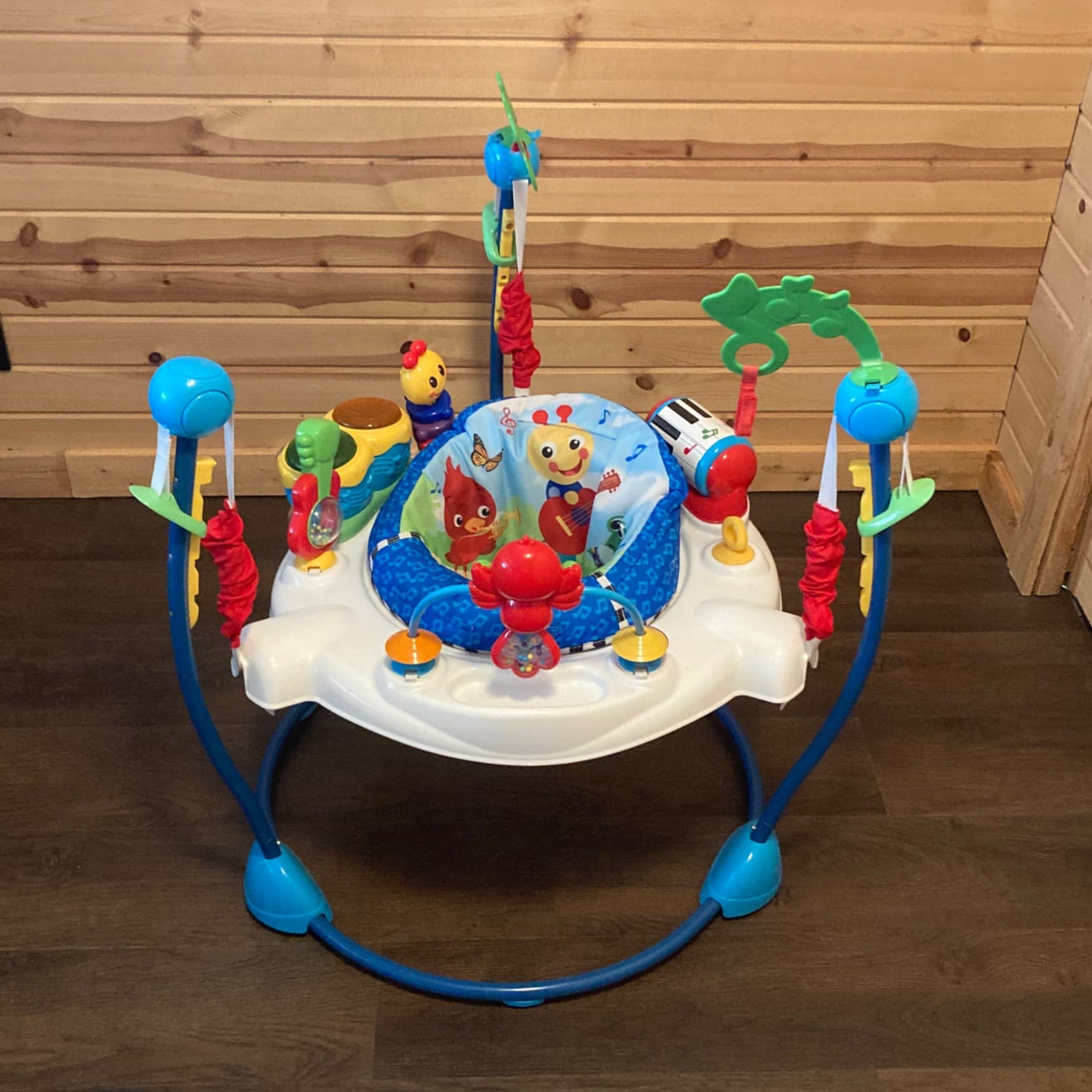 Baby Einstein Bouncer / 6-12 months;25lbs - 2