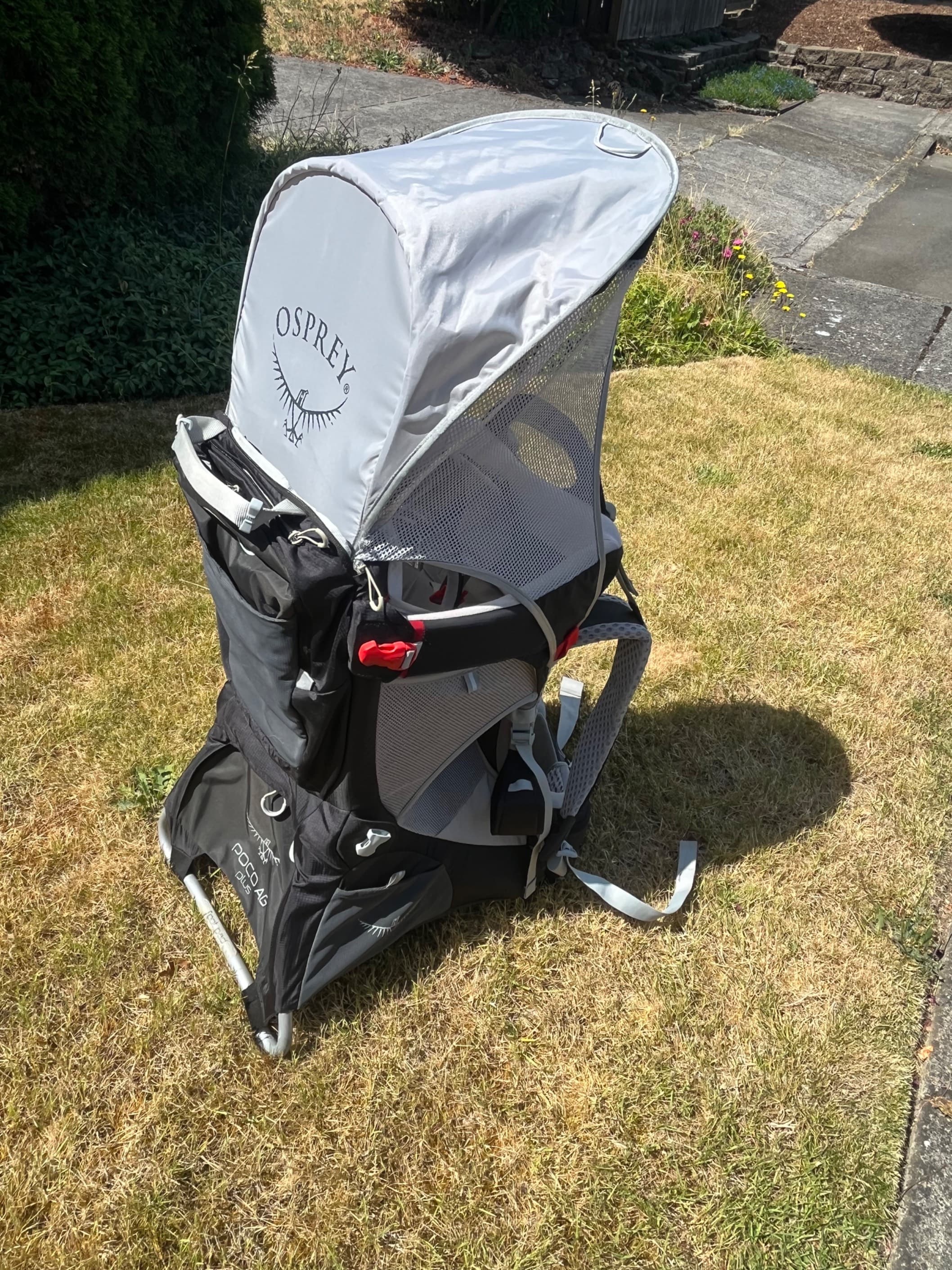 Hiking Carrier