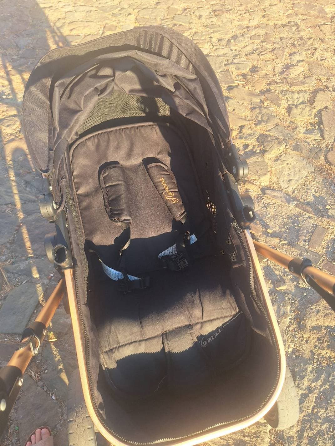 ZySafe - Trio Passeggino / fino a 22 kg - 3