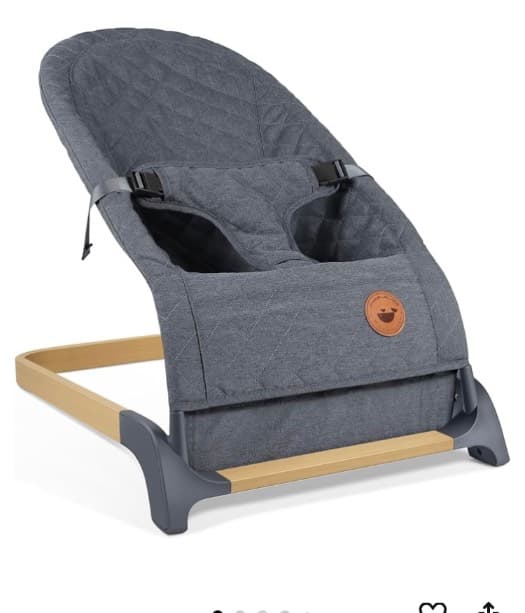 Baby Bouncer and Rocker