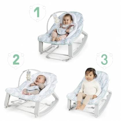 Bouncer & Rocker Infant to Toddler Seat - 2