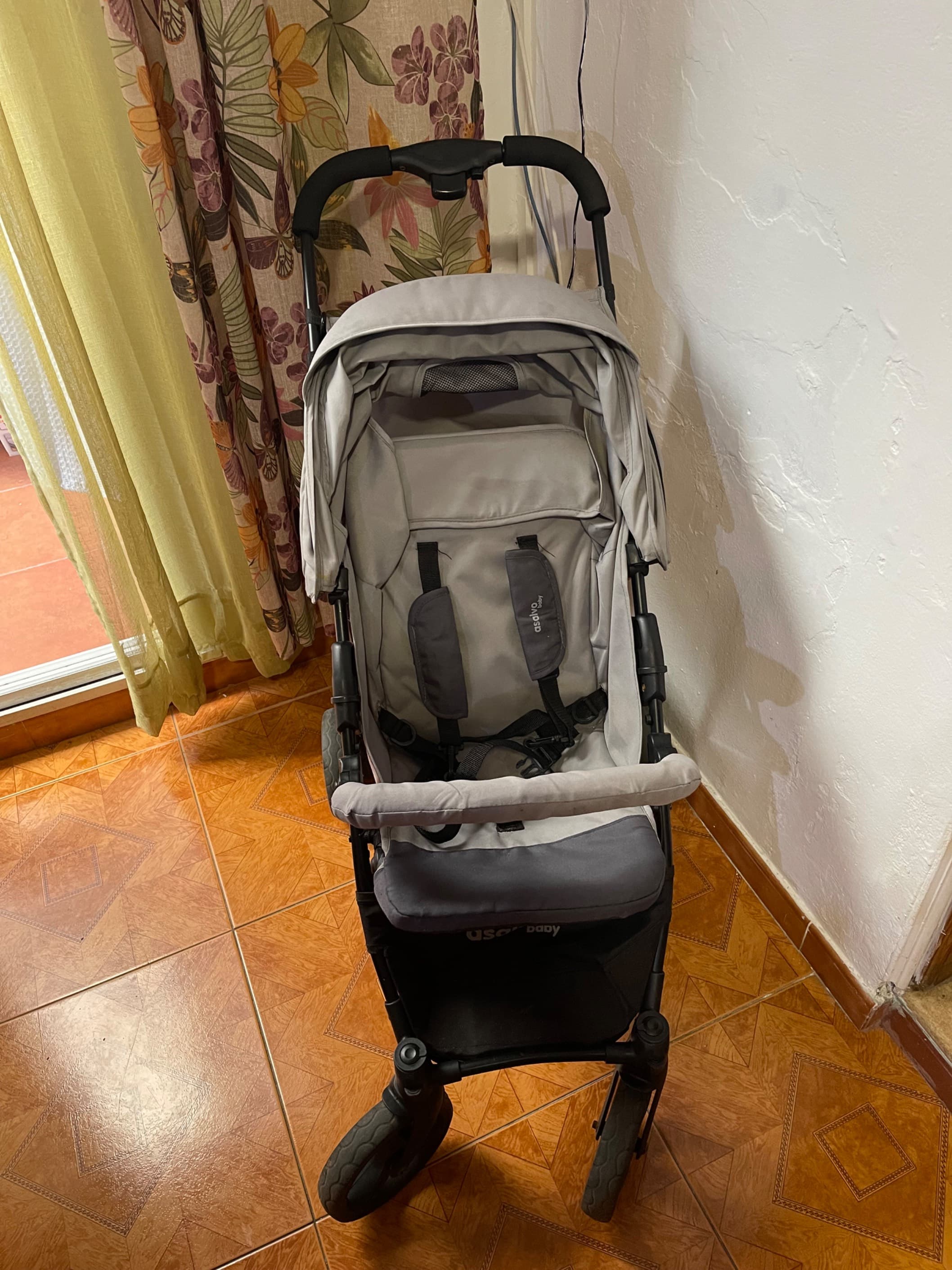 Carro Bebé Asalvo Baby - 2