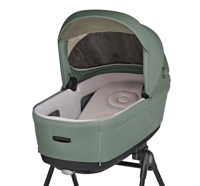 Inglesina Electa reclining wheelchair stroller - Carrozzina Inglesina Electa reclinabile - 2