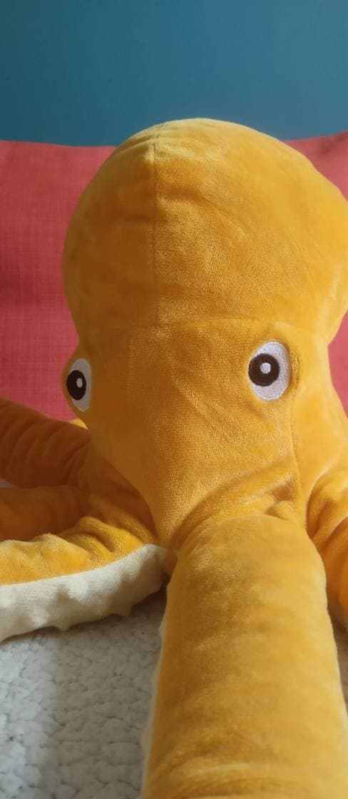 Meet Olli the Octopus – Your New Travel Buddy (From 10 Months+) - 2